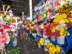 Zona de flores en mercado San Pedro Cusco