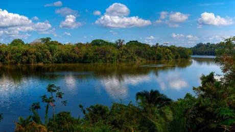 Tours in Tambopata