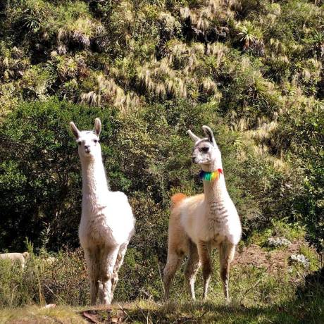 politicas de pagos y cancelaciones
