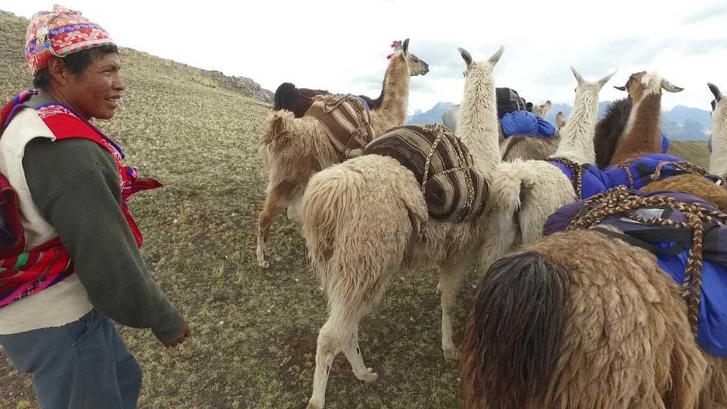 Llama Trek a Huchuy Qosqo y Machu Picchu 3 Días