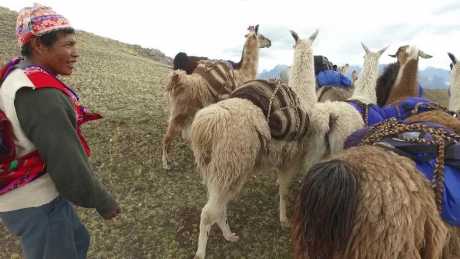 Llama Trek to Huchuy Qosqo & Machu Picchu - 3 days